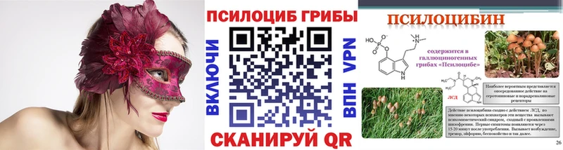 Псилоцибиновые грибы MAGIC MUSHROOMS  Купить закладки  Новая Усмань 